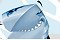 Sharks Mascot