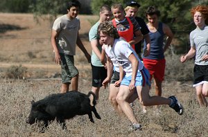 Brad reckons he can catch it