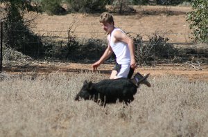 Monty caught up with the pig