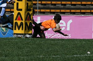 Tigers Try time - Cronulla Sharks Vs Balmain Tigers Under 13's 