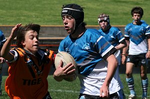 Cronulla Sharks Vs Balmain Tigers Under 13's 
