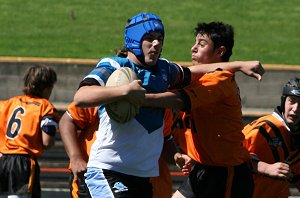 Cronulla Sharks Vs Balmain Tigers Under 13's 