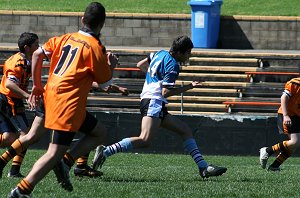 Cronulla Sharks Vs Balmain Tigers Under 13's 