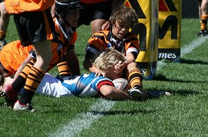 SHARKS TRY - Cronulla Sharks Vs Balmain Tigers Under 13's 
