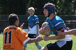 Cronulla Sharks Vs Balmain Tigers Under 13's 