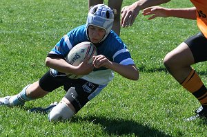 Sharks diving for the try line 