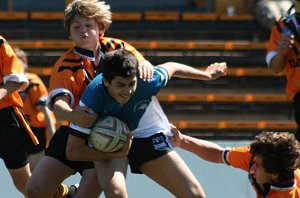 Cronulla Sharks Vs Balmain Tigers Under 13's 