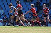 U17's Sharks vs Nth Sydney Bears Development game  ( Picture : ourfooty media )