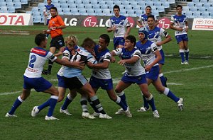 Bulldogs Vs Sharks