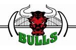 Bankstown Bulls JRLFC