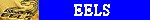 eels_banner_s10a.jpg