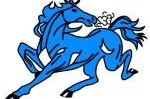 Greta-Branxton Colts - Rugby league