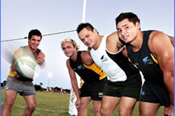 Stingrays Brock gibbon, Sam Hill, Shon Siemonek and Marty Brown have been named in the Ballymore Tornadoes squad.