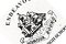 Endeavour SHS