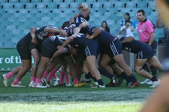 ARL Schoolboys Trophy 2010 Grand Final Chifley v Eaglevale (Photo : ourfootymedia)