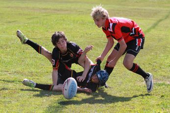 Endeavour SHS - 2012 Buckley Shield v Illawarra SHS (Photo : OurFootyMedia) 