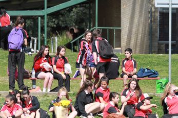 2012 Buckley Shield Endeavour SHS v Illawarra SHS (Photo : OurFootyMedia) 